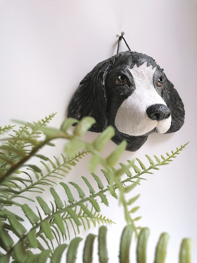 Black/ Grey Collie Dog Head With Brown Eyes