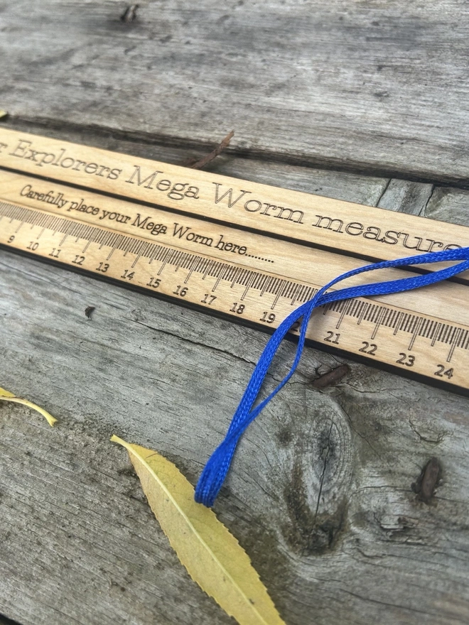 A personalised birch plywood worm‑measuring board lying flat on a natural outdoor surface. The tool features a long engraved ruler scale up to 26cm and a central slot for safely placing a worm during measurement. The wood has a smooth, light oil finish with rounded edges, designed for young learners and forest school activities. No worms are shown; only the wooden measuring board with its  carrying cord is visible.