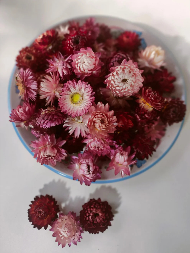 box of pink dried flower heads.  bowl of small pink dried flower heads.