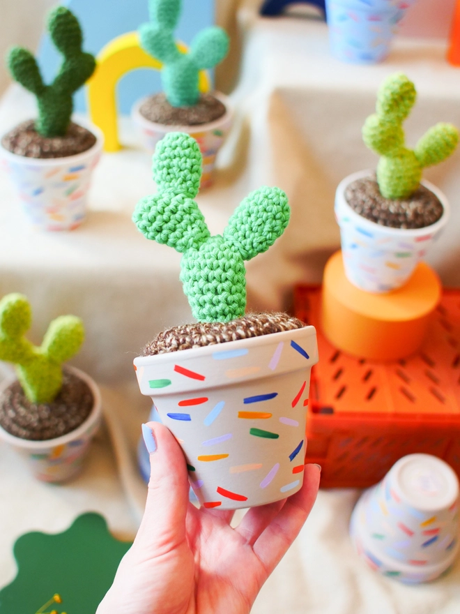 crochet cactus in hand painted pot