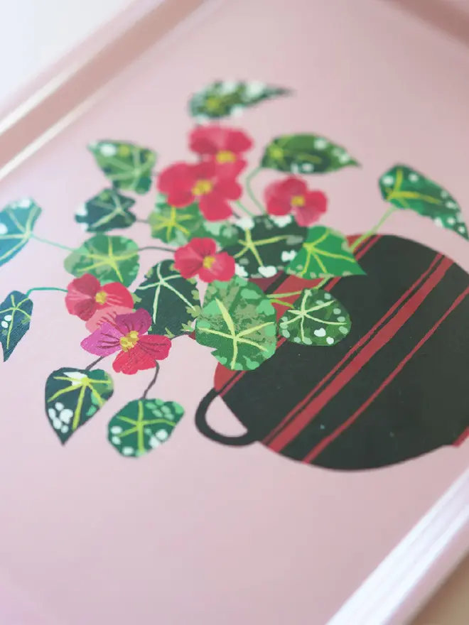illustrated begonia small tray