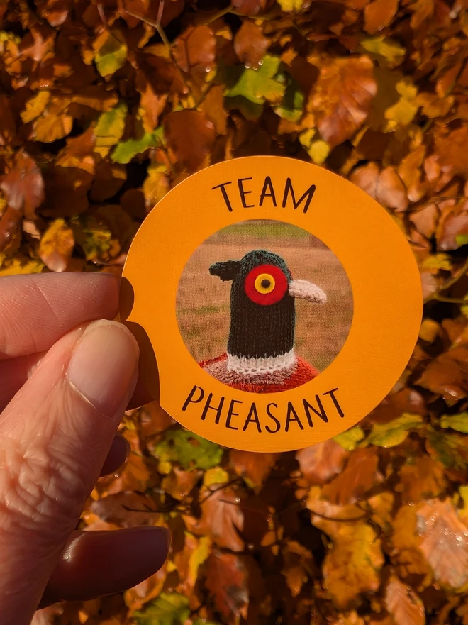 a round orange sticker with the words Team Pheasant and a photo of a knitted pheasant on it