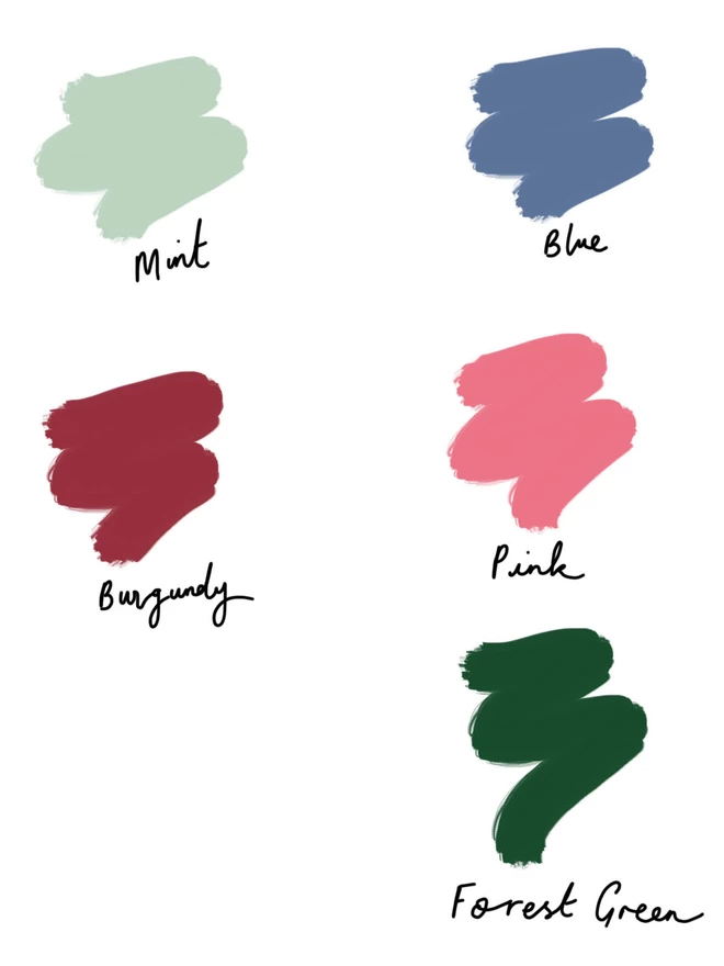 A selection of colour swatches in mint, blue, burgundy, pink and forest green