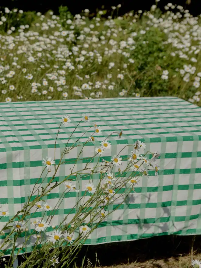 Green Gingham Tablecloth in field