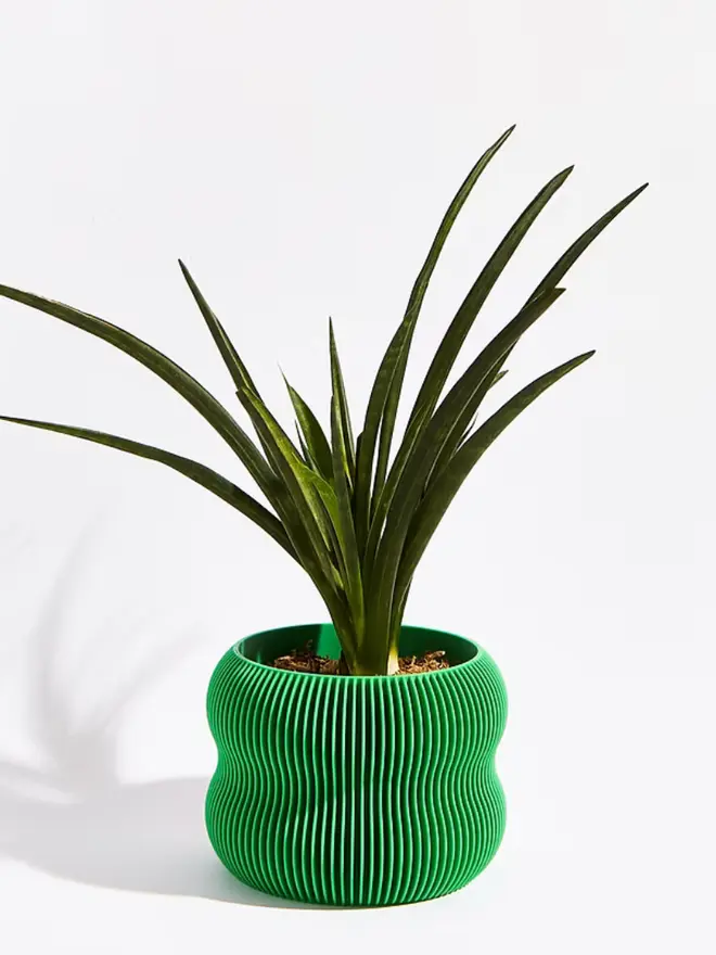 Sustainable 3D Printed Bamboo Green Plant Pot, bubble design, against a white background.