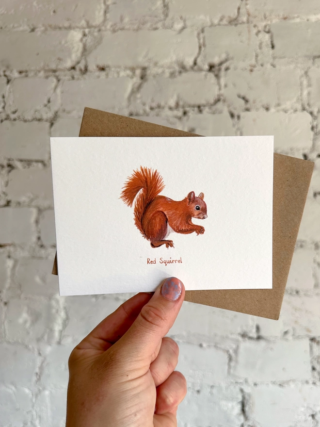  A greetings card featuring an illustrated red squirrel with a brown kraft envelope