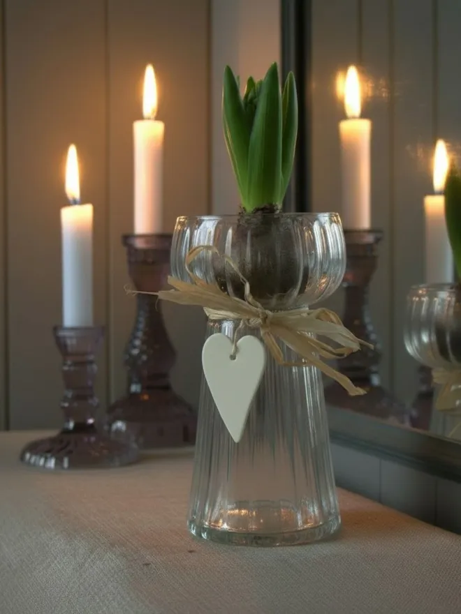 	 hyacinth vase with bulb with background of candles
