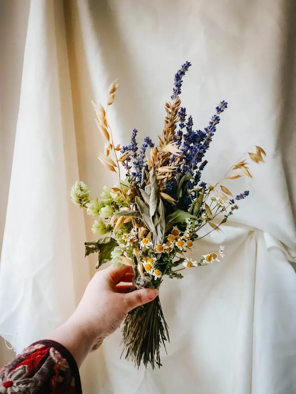 A Posy of Everlasting Dried Flowers and Herbs, Held by a Hand against a White Background