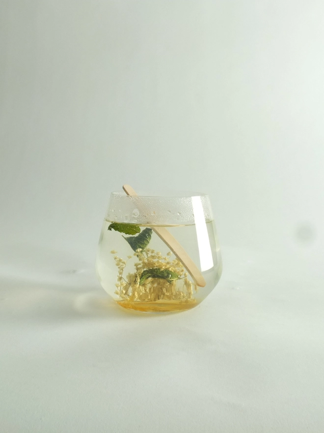 Fleurs-d-hiver-Elderflower-Mint