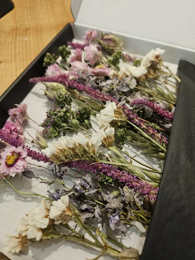 Letterbox Flowers, a colourful collection of flowers sitting in their letterbox packaging on a wooden surface. 