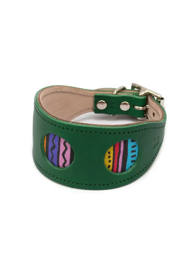 rainbow stripe hound collar