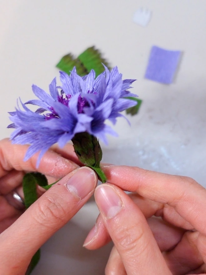 Crepe Paper Cornflower