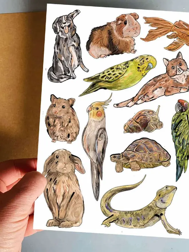 Pets Temporary Tattoos, a hand holds a white sheet featuring illustrations of various cat breeds with handwritten labels.