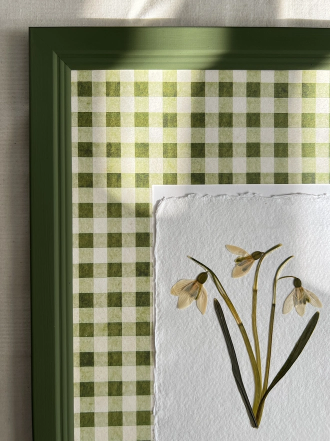 close up of top left corner of pressed snowdrops in green painted frame