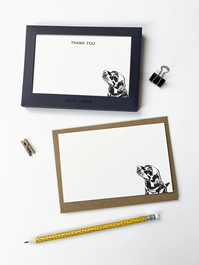 Boxed flat correspondence cards illustrated with a Labrador
