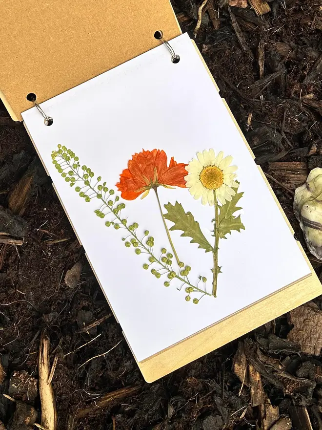 Birch Wood Personalised Flower Press