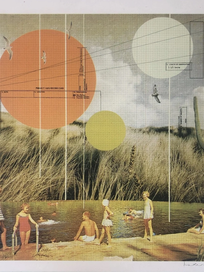 Swimming Amongst The Reeds Screenprint