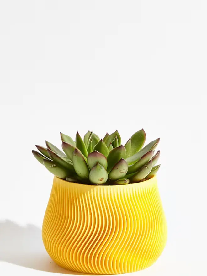 Sustainable 3D Printed Banana Yellow Plant Pot, groovy design against a white background.