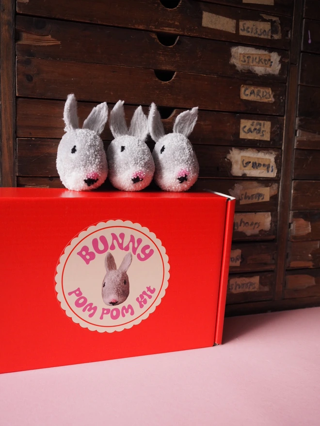 Rabbit Pom Pom Craft kit