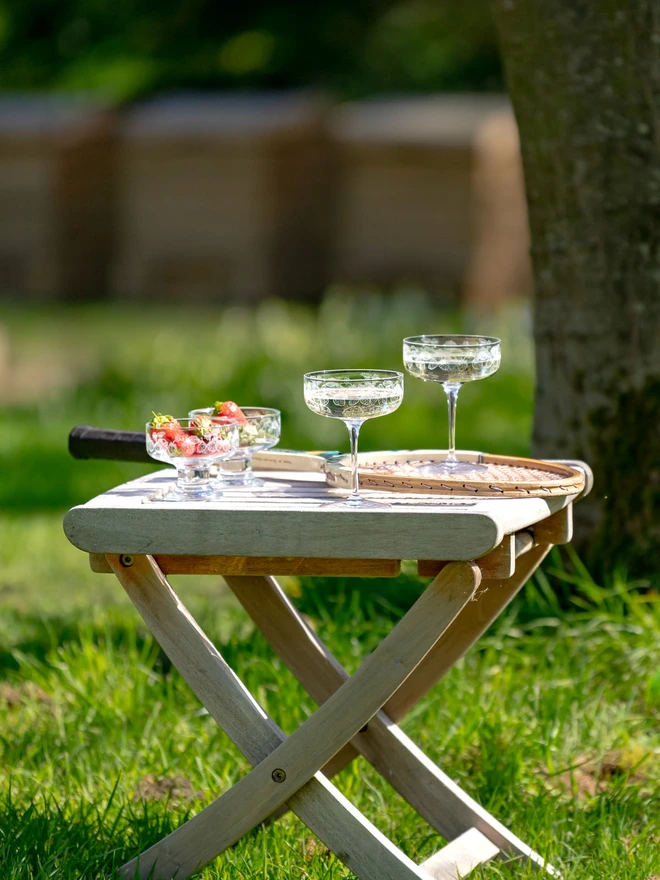 Emma Britton Strawberry Champagne Coupes Set of 2 and Strawberry Bowls Set of 2 on Picnic Table
