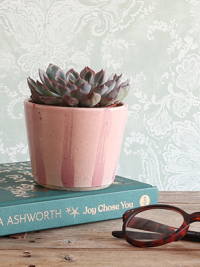 Small Handmade Ceramic Stoneware Plant Pot in Pink Stripe sat on a book next to a pair of glasses on wooden table. The plant pot is filled with a green and pink succulent plant. 