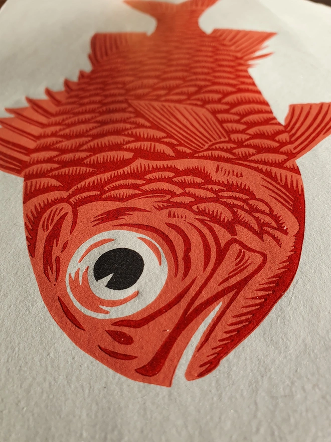 Soldierfish linocut print close up perspective