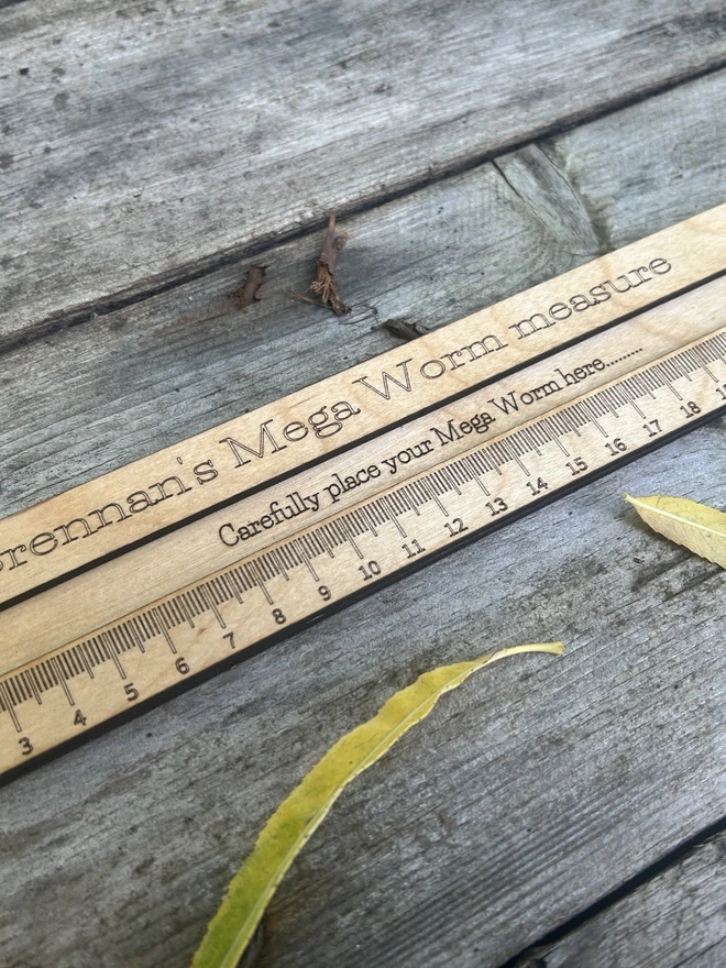 A personalised birch plywood worm‑measuring board lying flat on a natural outdoor surface. The tool features a long engraved ruler scale up to 26cm and a central slot for safely placing a worm during measurement. The wood has a smooth, light oil finish with rounded edges, designed for young learners and forest school activities. No worms are shown; only the wooden measuring board with its  carrying cord is visible.