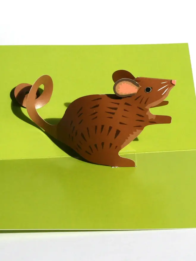 3d mouse pop up card