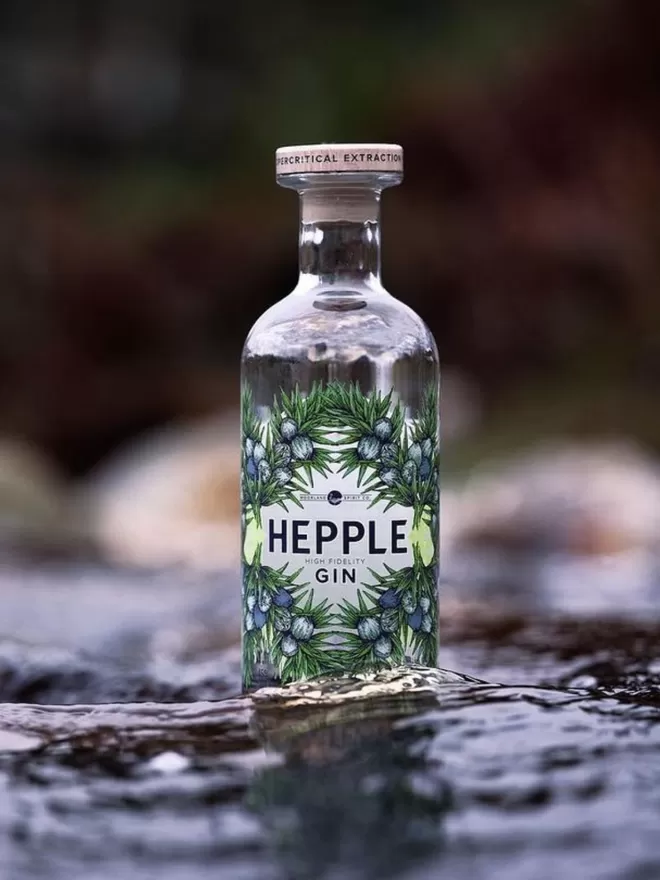 Hepple Gin seen in a river