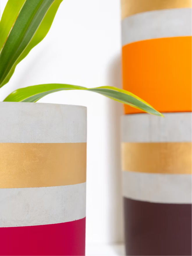 cocktail concrete plant pot. three painted plant pots with gold rims.
