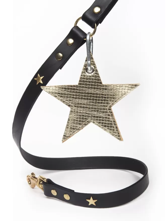 Gold Poo Pouch with a Star Leather Lead