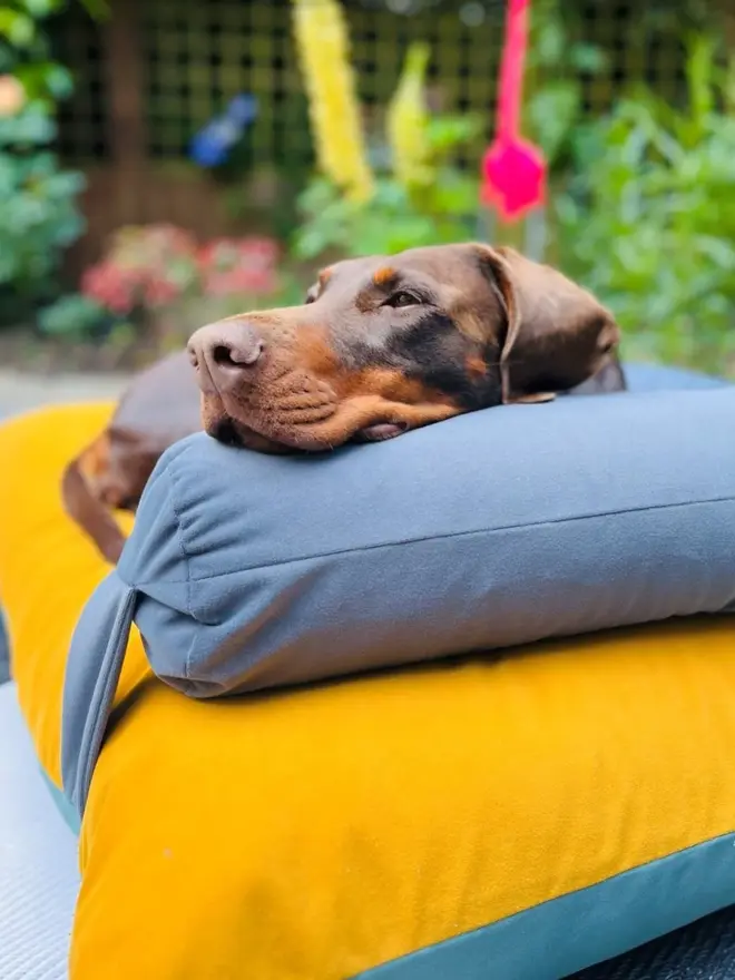 bespoke reversible dog bed