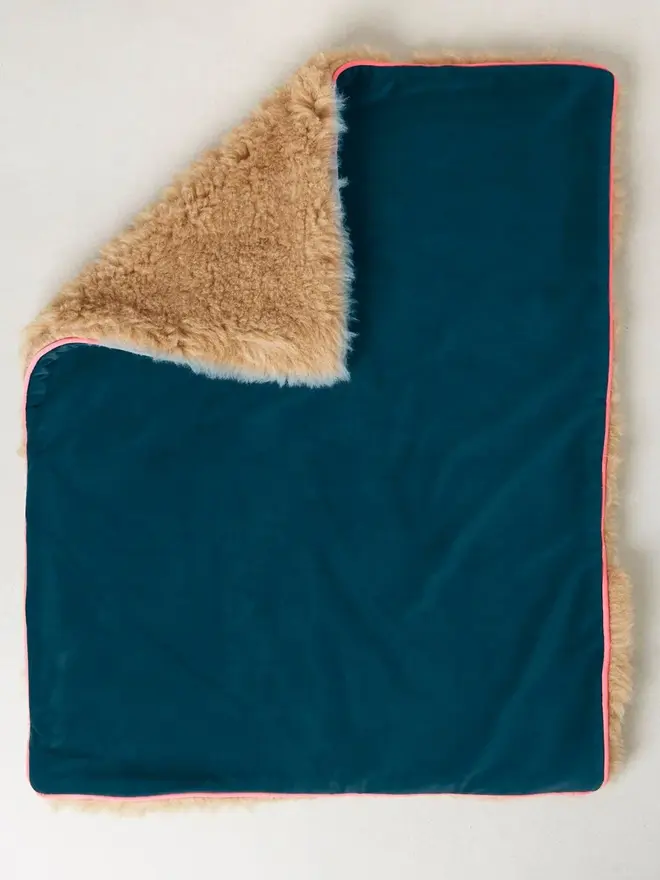 dog travel plushy cushion