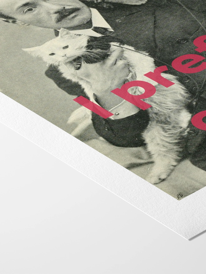 I Prefer Cats Print