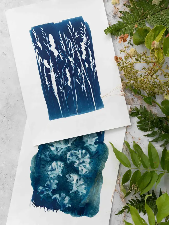 A4 Cyanotype Paper to Create Beautiful Prints With Sunlight