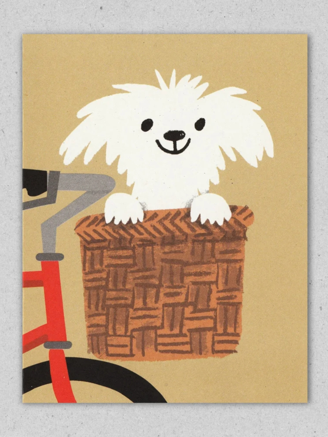 The passenger pet card