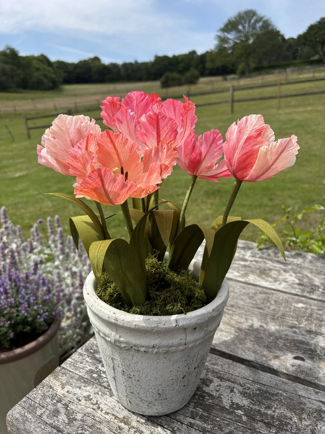 single pink paper tulip in vase, 