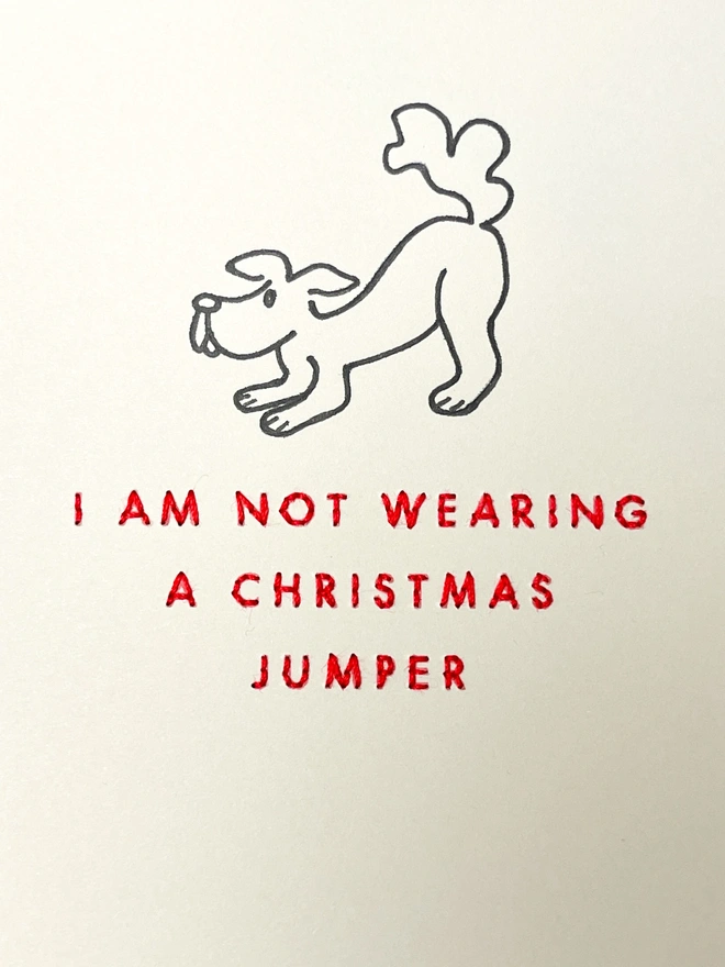 Dog Christmas Jumper Details