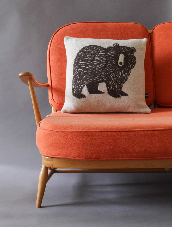 Bear Cushion