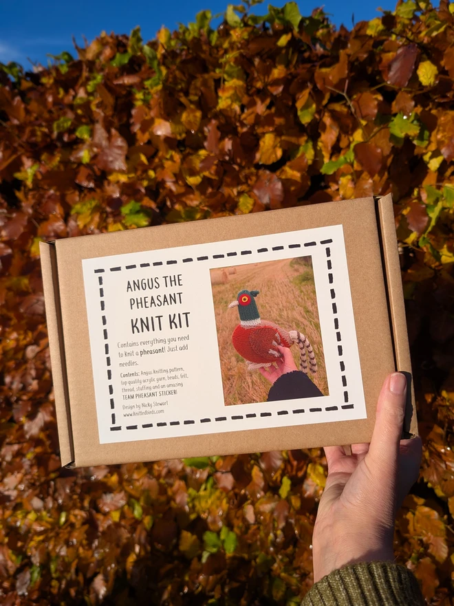 Angus the Pheasant knitting kit in a brown gift box with an autumn hedge in the background