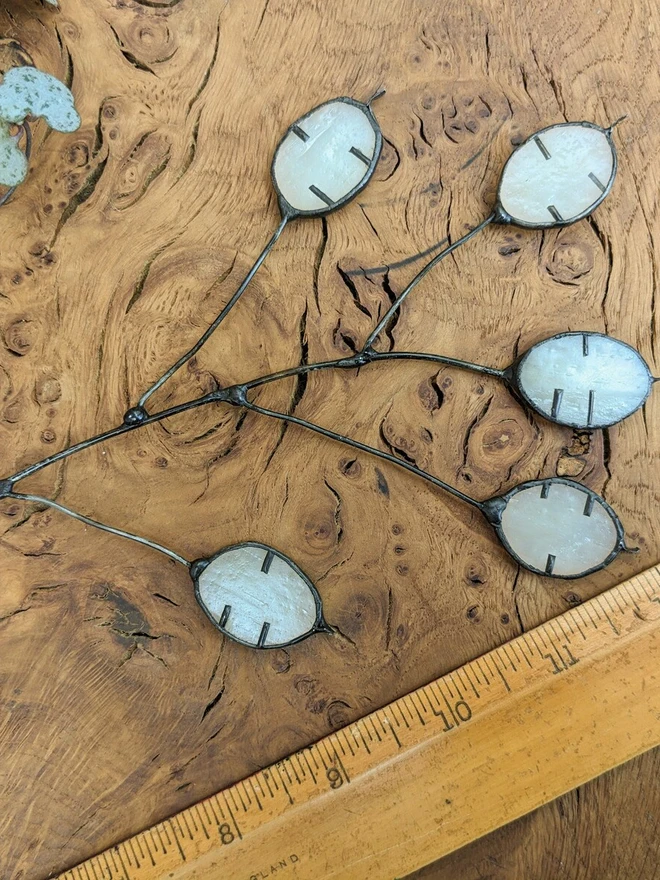 Stained Glass Flower Honesty (Lunaria)