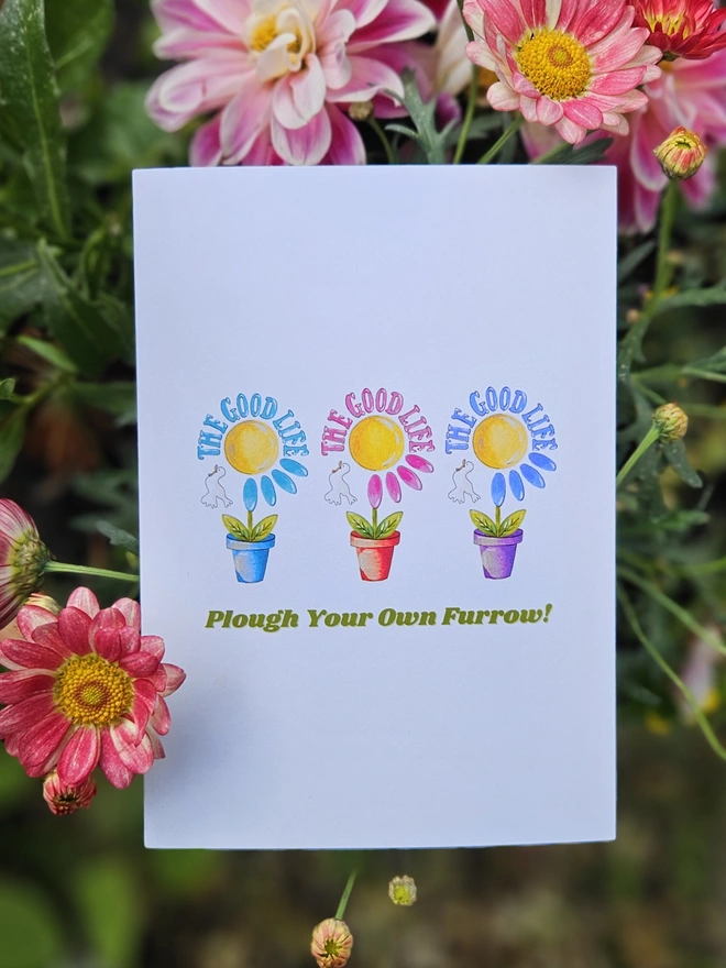 A white card with an illustration of 3 colourful flowers in terracotta pots and a white bird with The Good Life is written around the edge of each of the flowers using a retro font. Underneath the row of pots in a green retro font it says Plough your own furrow