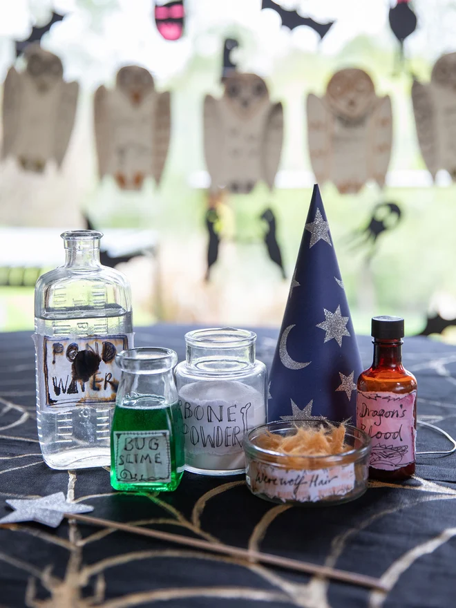 Magic Potion Party for 8 Children