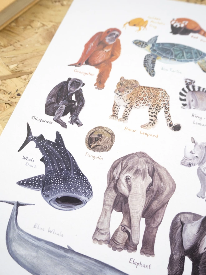 a close up of the print with a white background featuring a selection of colourful, endangered animals arranged in an oval shape