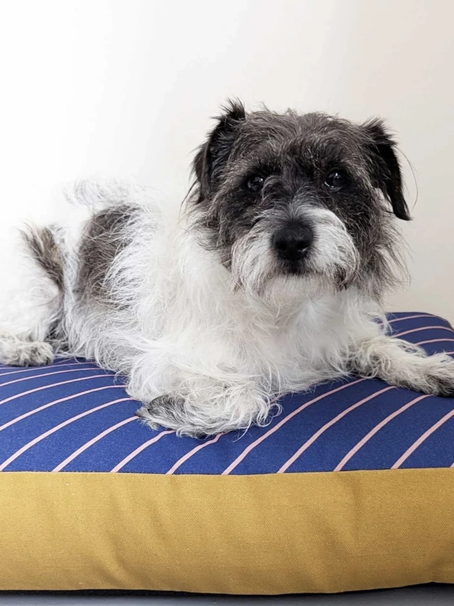  Printed Cotton Patterned Dog Bed, a dog sitting on a patterned dog bed on a tiled floor in front of a white wall. 