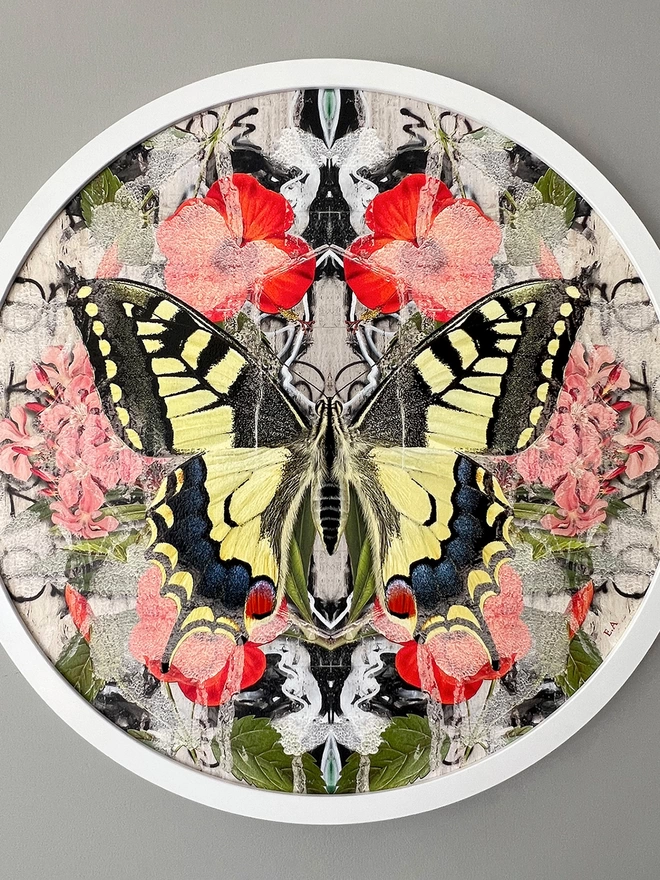 Framed Swallowtail and Hibiscus original art, Evi Antonio