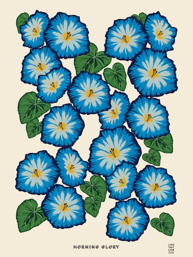 morning glory floral Giclee print