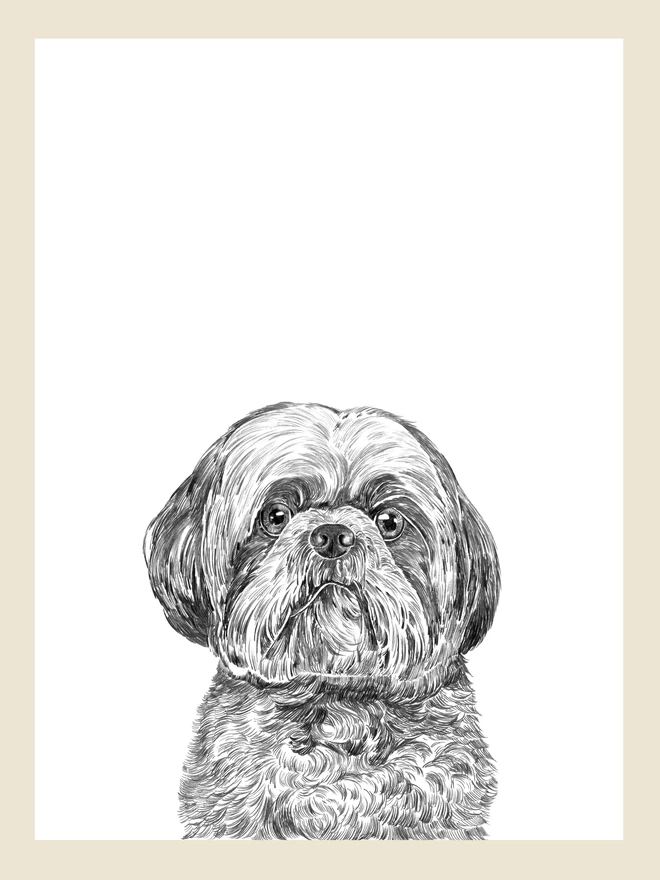 Artwork of the shih tzu art print