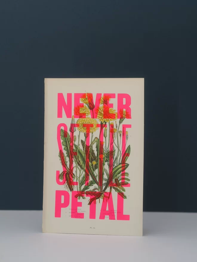 basil & Ford screenprint of the words Never Settle Petal hand screen printed over the top of an original 120 year old book page featuring a floral illustration