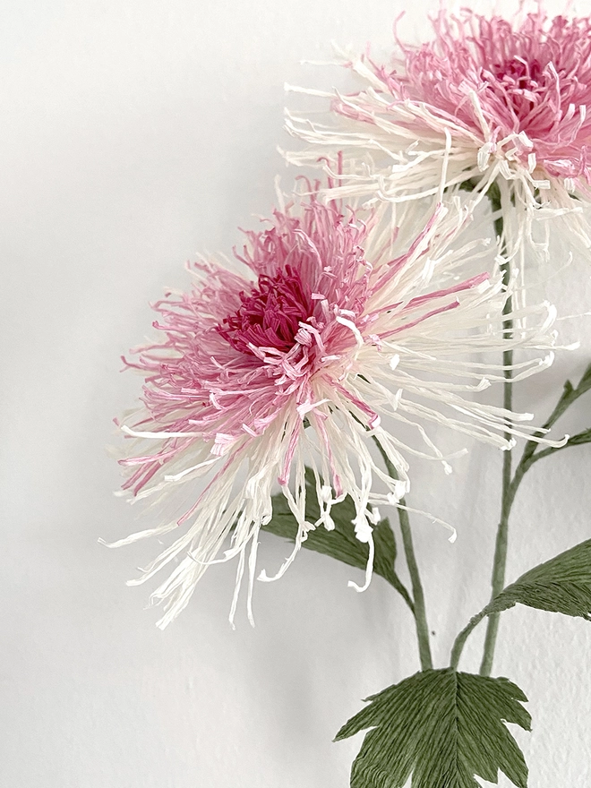 Crepe Paper Japanese Chrysanthemum DIY Kit